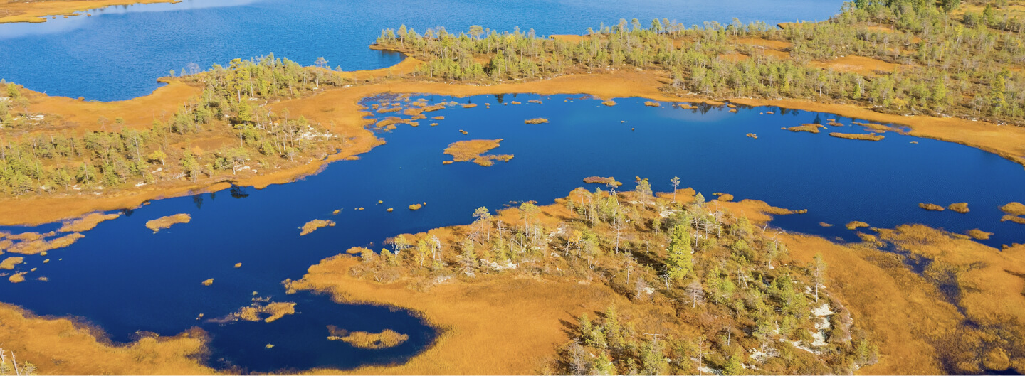 Западная Сибирь как природный коллайдер: климато-регулирующая функция водно-болотных угодий