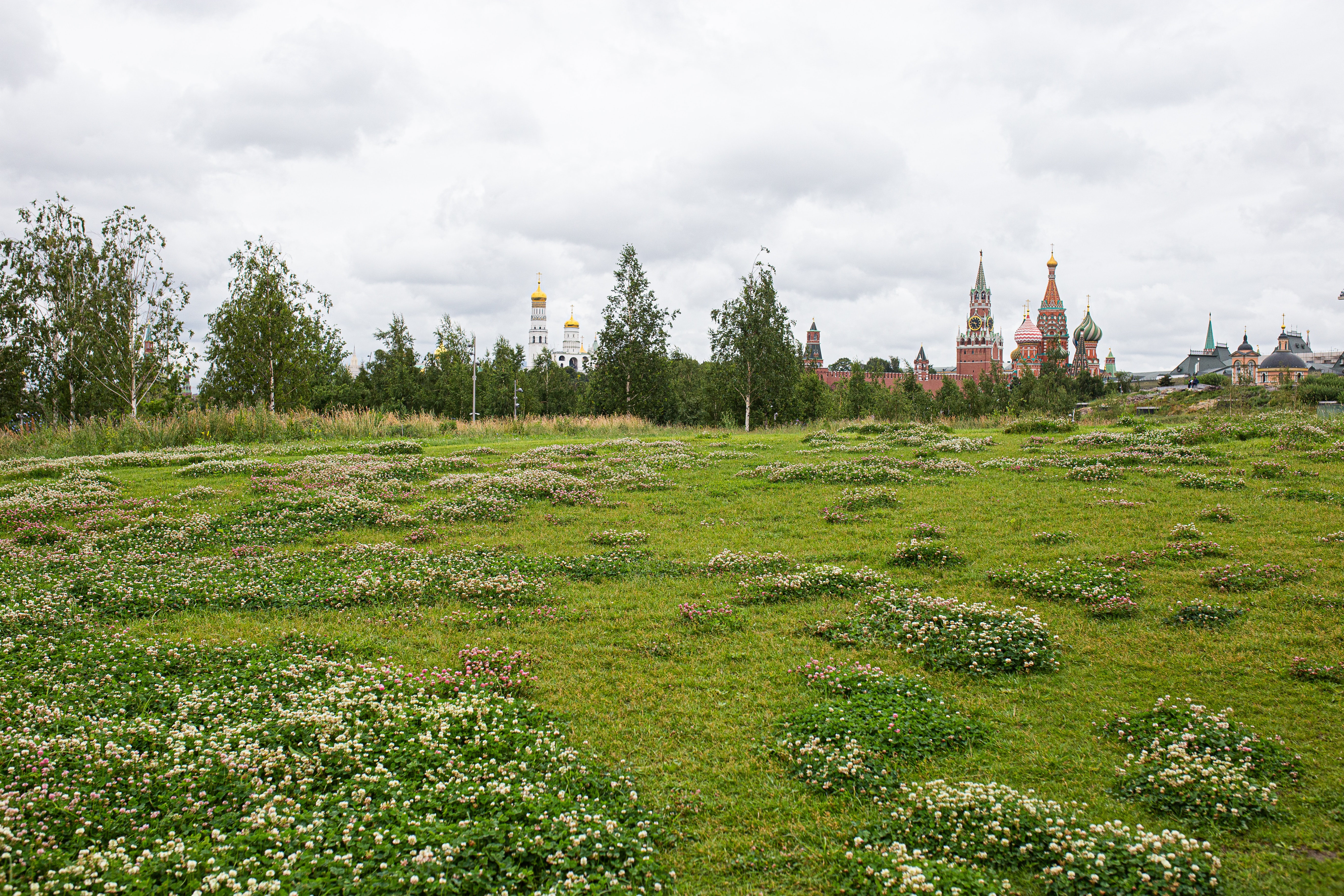 Москва рассказала о климатической адаптации города на СОР28 – Читайте на  Климатической платформе